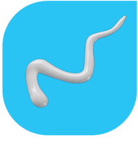 STRIPLASH ADHESIVE WHITE/CLEAR